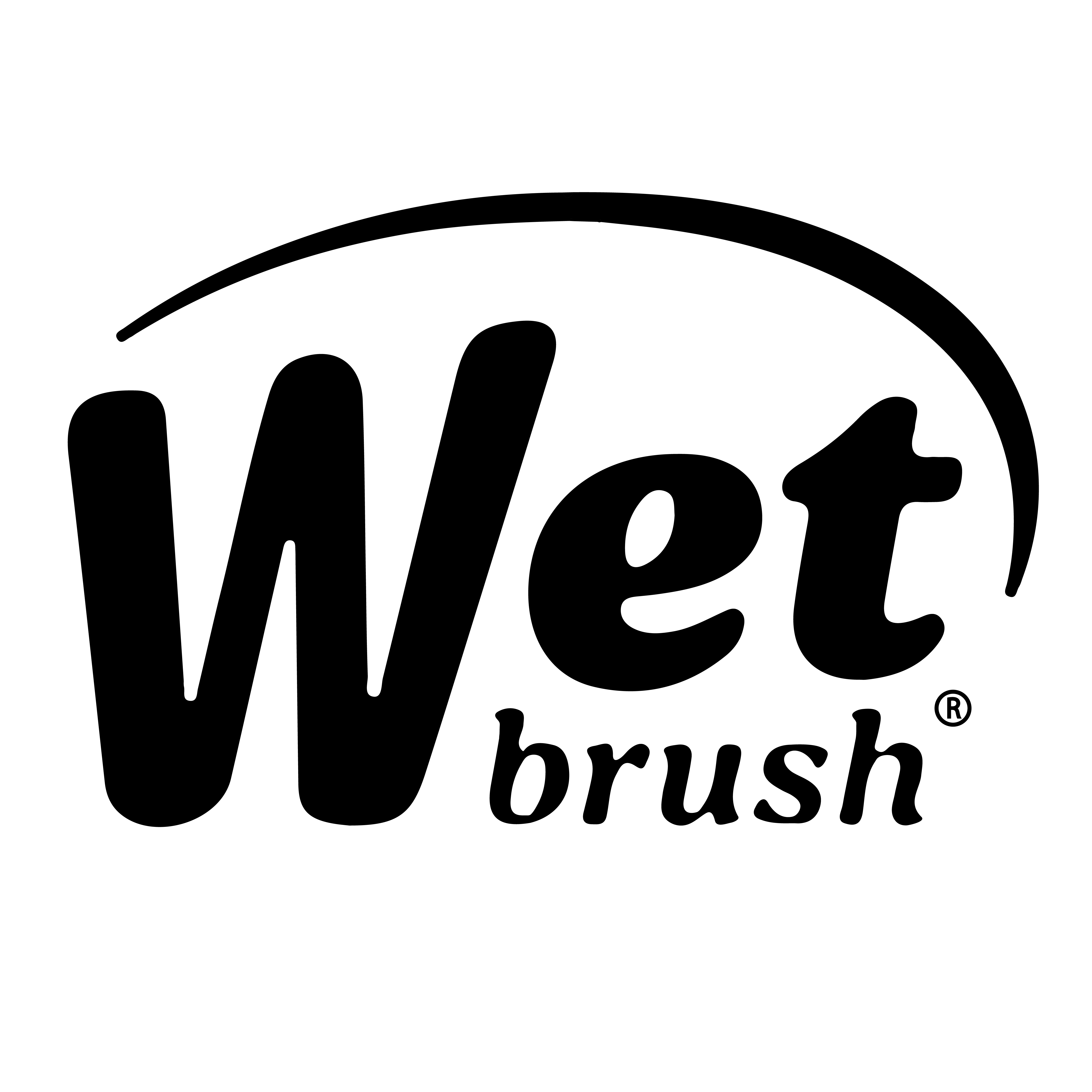 wetbrush